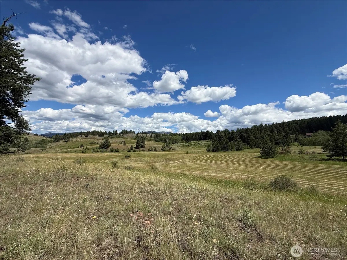 42 Tedesco Road #4, Republic, WA 99166 - #1