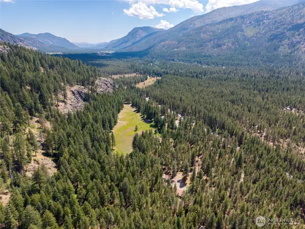 226 Lost River Road, Mazama, WA 98833