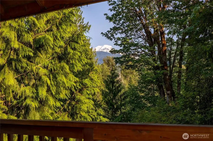 11062 Whistler Lane, Deming, WA 98244 - #2