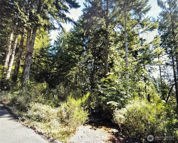 110 Marine View Drive #19, Belfair, WA 98528