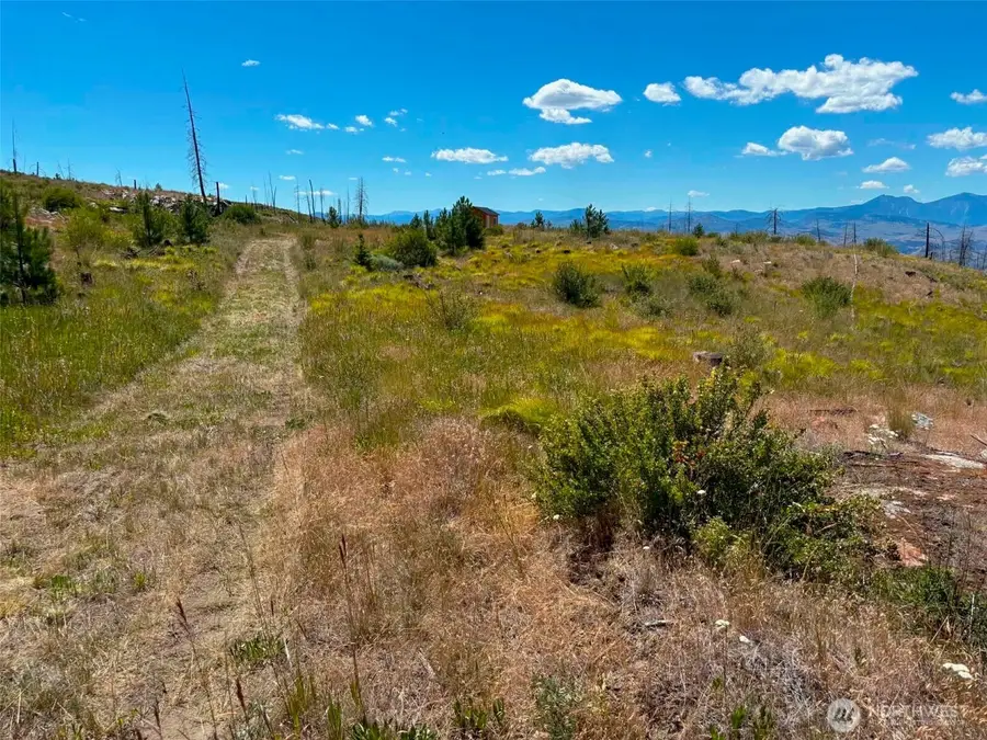 94 Allen Drive #Lot 13, Oroville, WA 98859 - #3