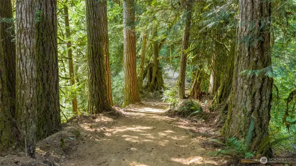 0 N Robinson Road, Lilliwaup, WA 98555