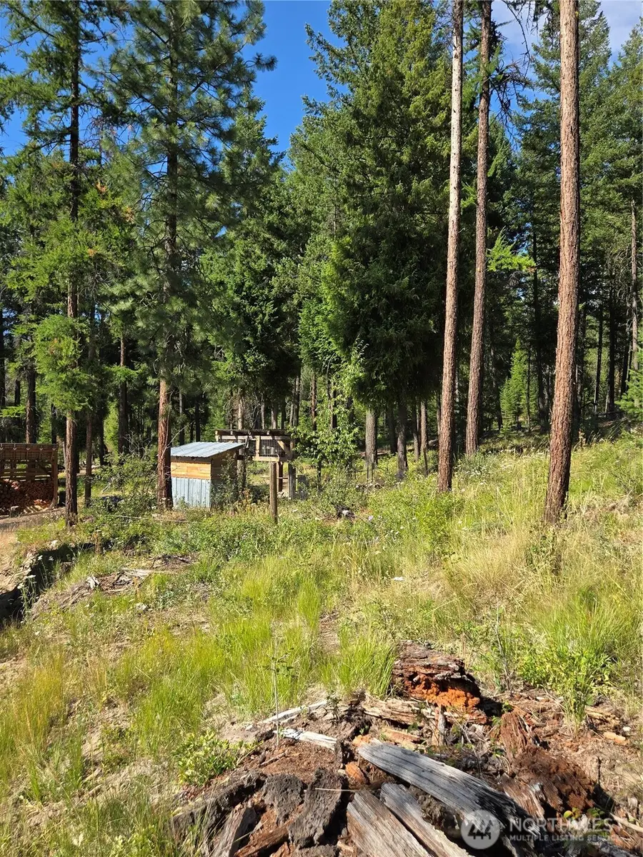 61 Rone Road, Tonasket, WA 98855 - #3