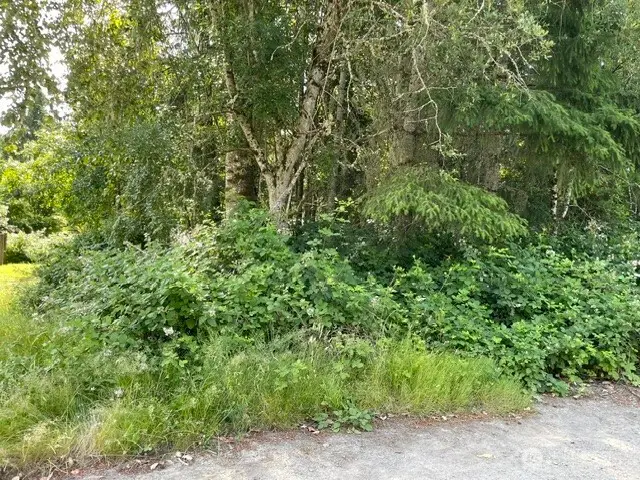 0 Rest Place Ne, Bremerton, WA 98311 - #1