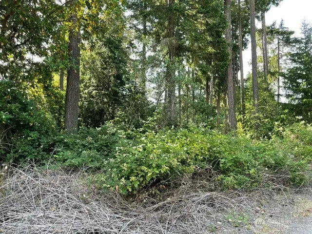 0 Rest Place Ne, Bremerton, WA 98311 - #3