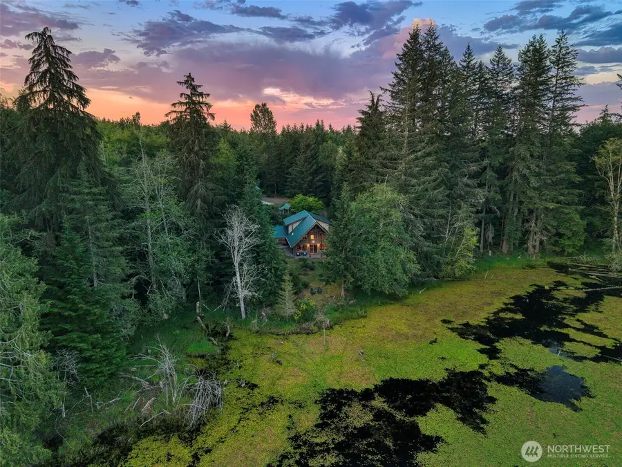 1177 Ripley Creek Road, Quilcene, WA 98376 - #3