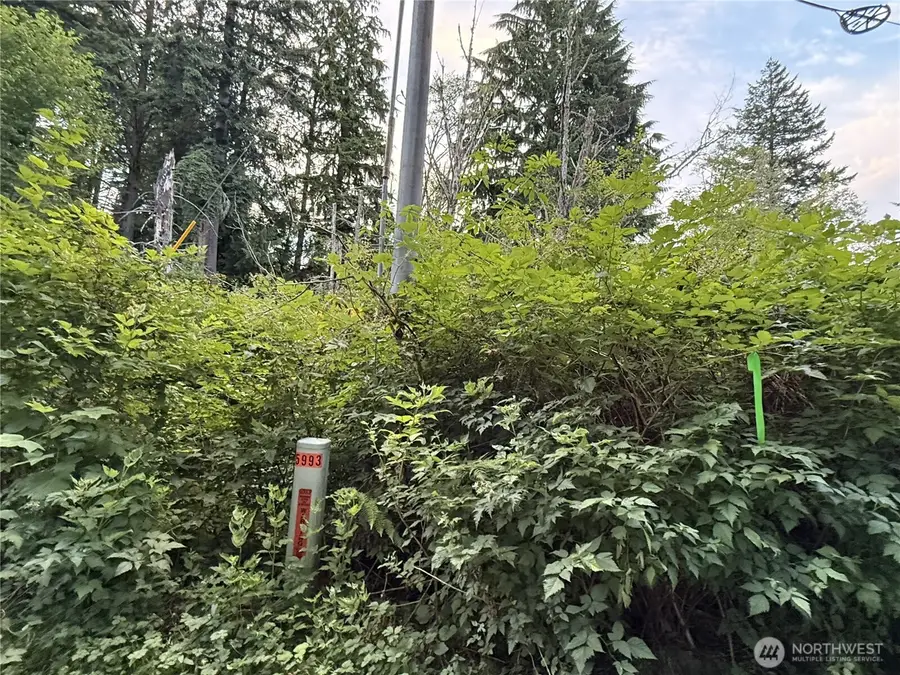 1 Bumgarner Road #1, Arlington, WA 98223 - #2
