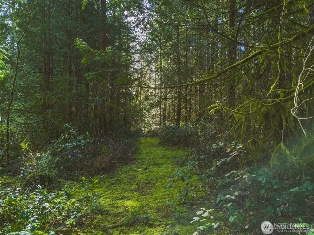 0 SW County Line Road, Port Orchard, WA 98367 - #1