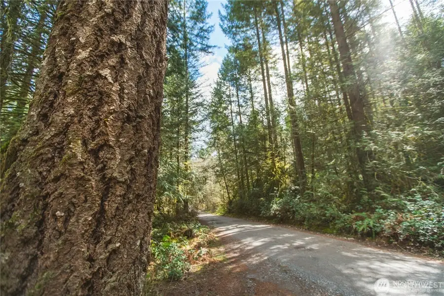 0 SW County Line Road, Port Orchard, WA 98367 - #3
