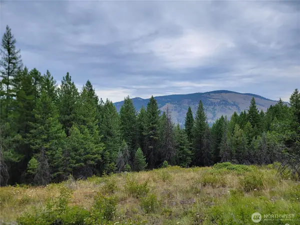 0 Dragon's Lair Lane, Curlew, WA 99118