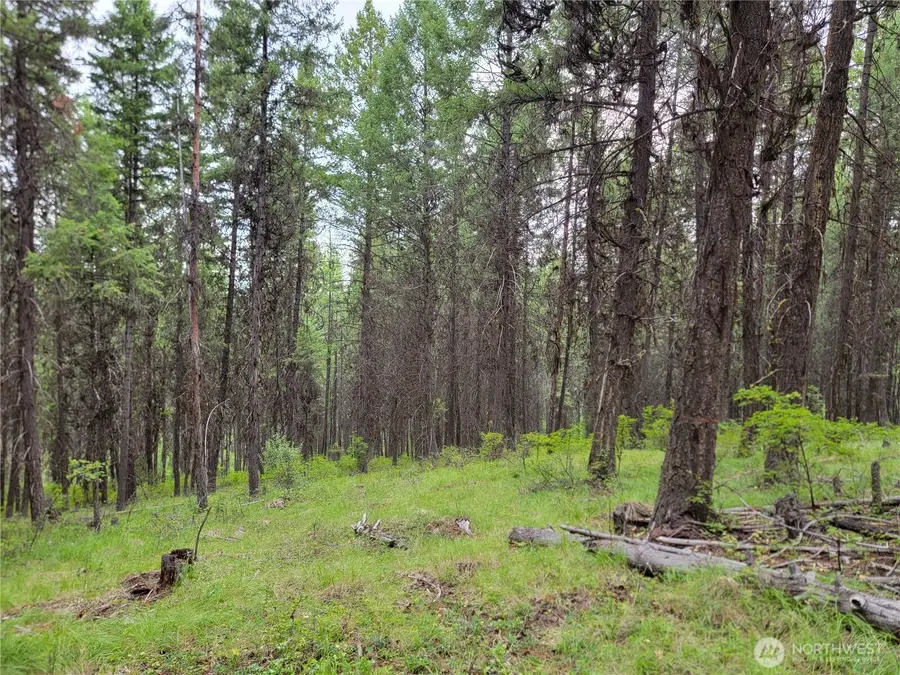 0 Dragon's Lair Lane, Curlew, WA 99118 - #2