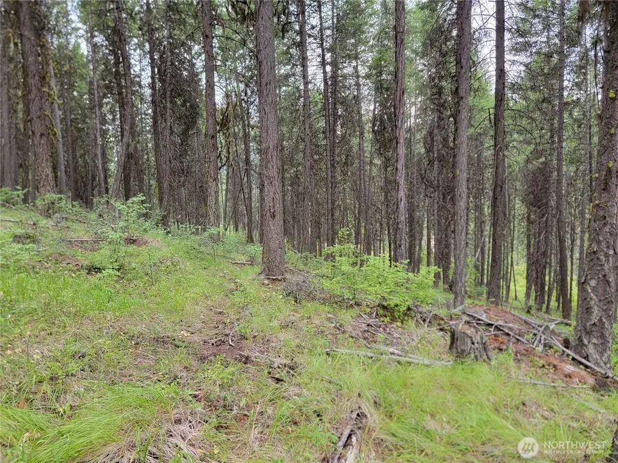 0 Dragon's Lair Lane, Curlew, WA 99118 - #3