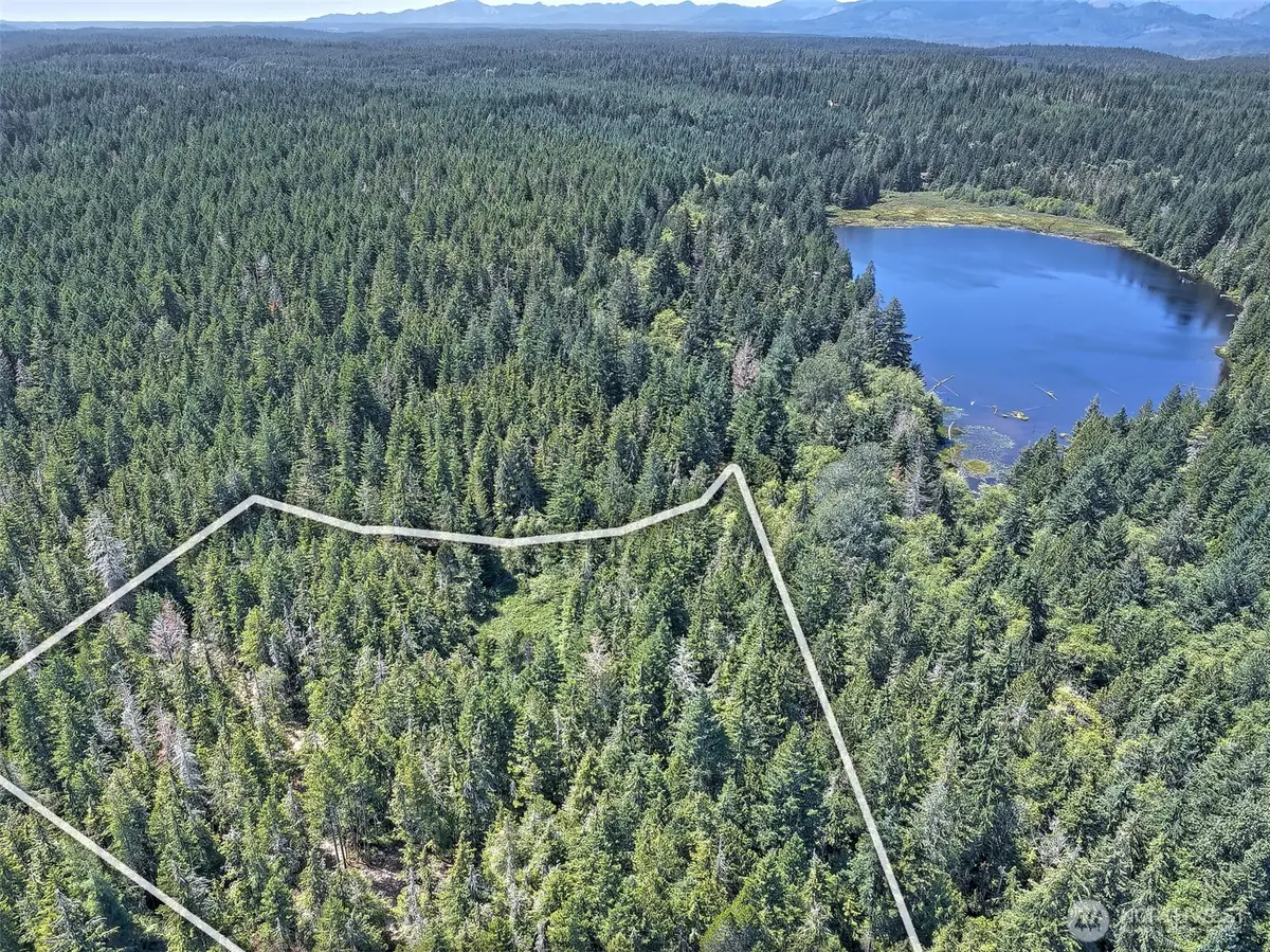 0 NE Eagle Creek Lane, Belfair Tahuya, WA 98528 - #1