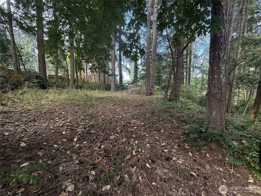 19421 24th Street Sw, Lakebay, WA 98349 - #2