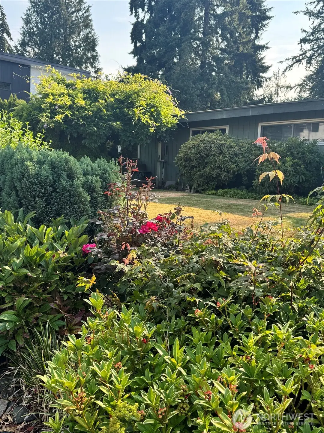 7215 126th Avenue Ne, Kirkland, WA 98033 - #1