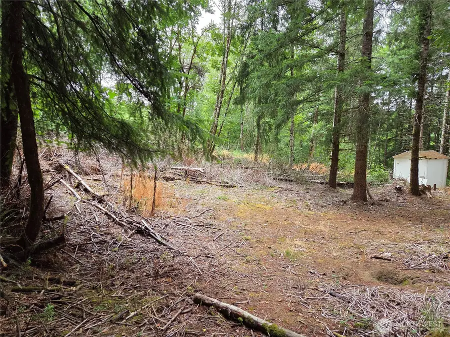 21024 Zenkner Valley Road Sw, Centralia, WA 98531 - #2