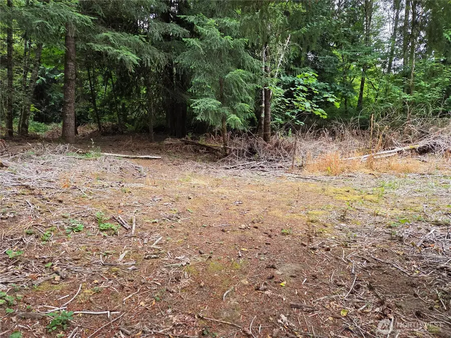 21024 Zenkner Valley Road Sw, Centralia, WA 98531 - #3