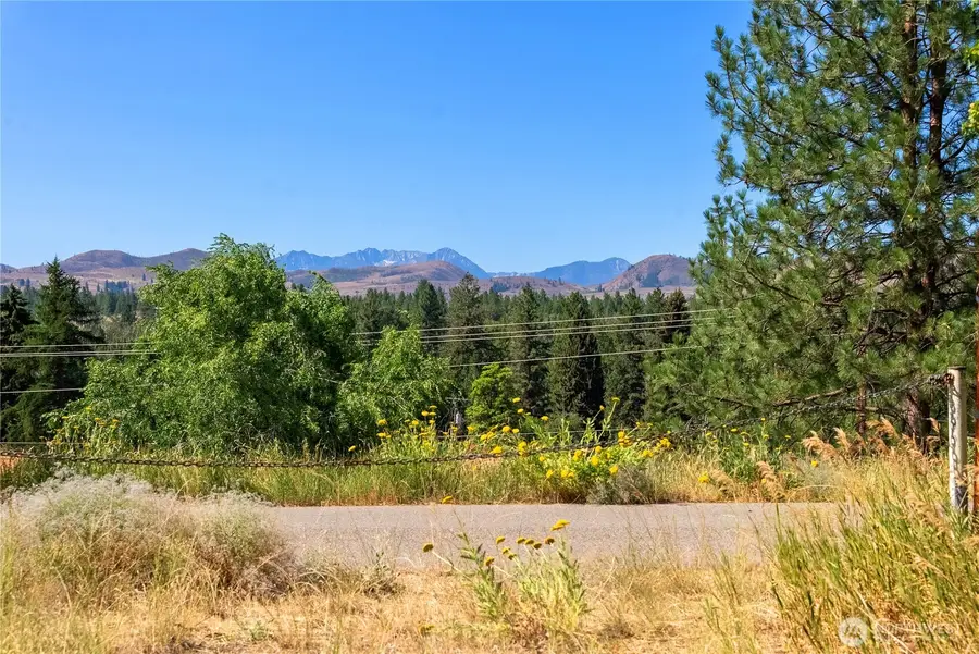 618 Filer Avenue, Winthrop, WA 98862 - #3