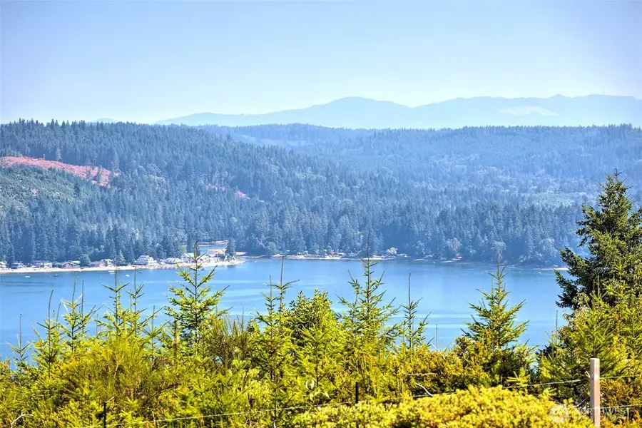 551 E Hyland Drive, Union, WA 98592 - #2