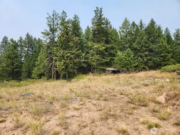 250 Union Ridge Road #Lots 158-161, Republic, WA 99166