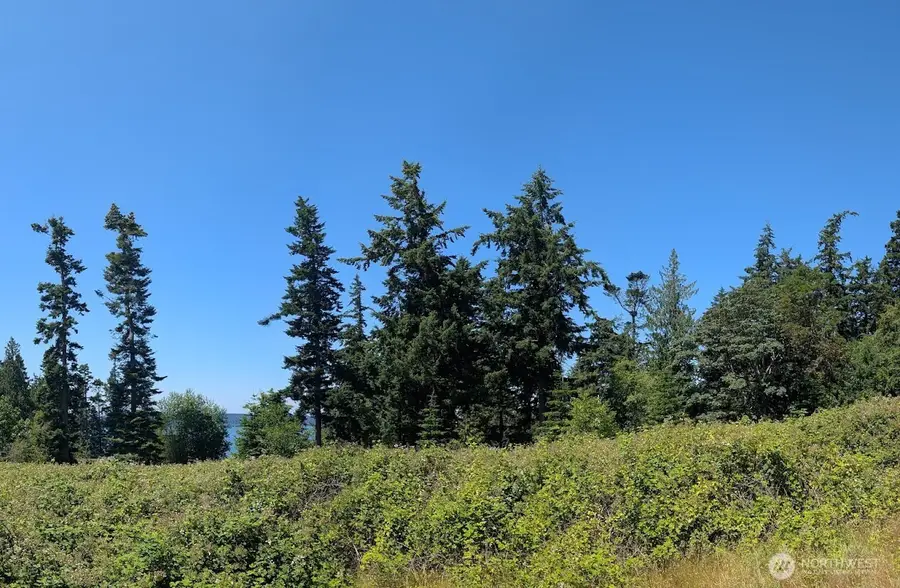 4343 S Camano Drive, Camano Island, WA 98282 - #3