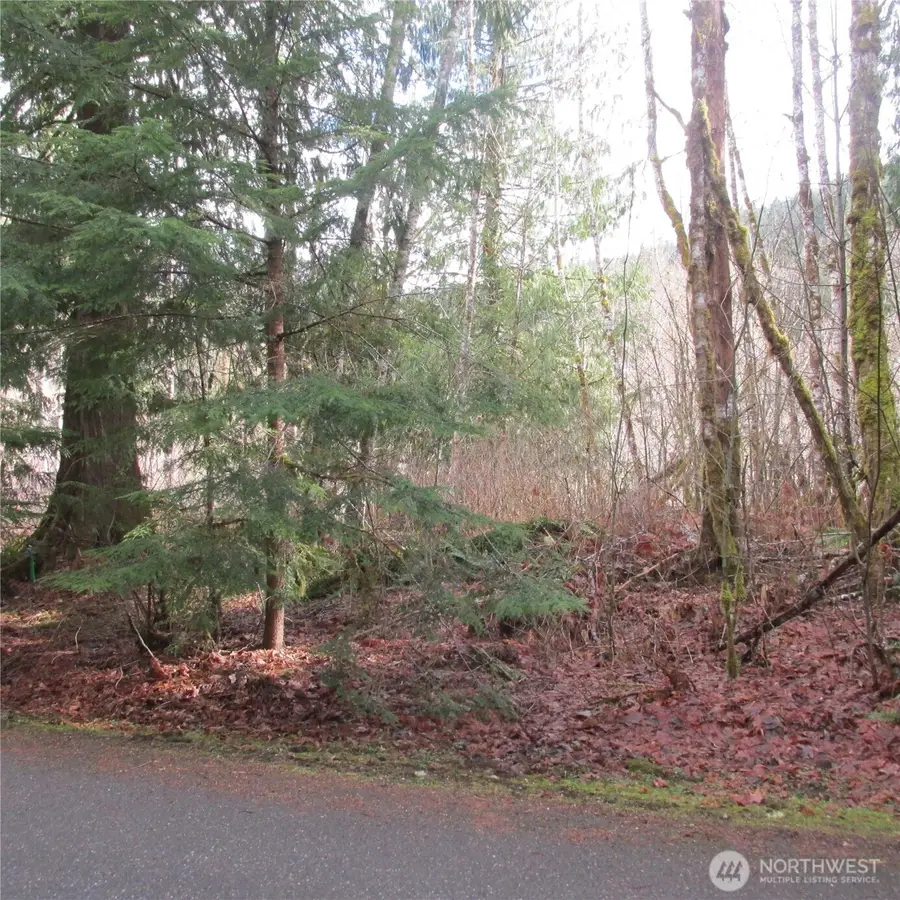 10337 Glacier Rim Drive #55/56, Glacier, WA 98244 - #2