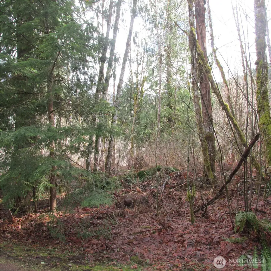 10337 Glacier Rim Drive #55/56, Glacier, WA 98244 - #3