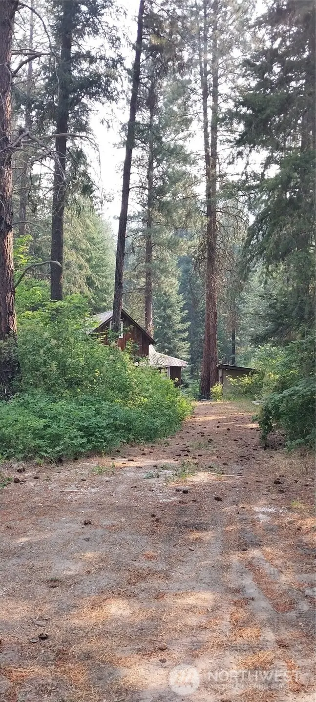 16745 Second Creek Rd, Leavenworth, WA 98826 - #3