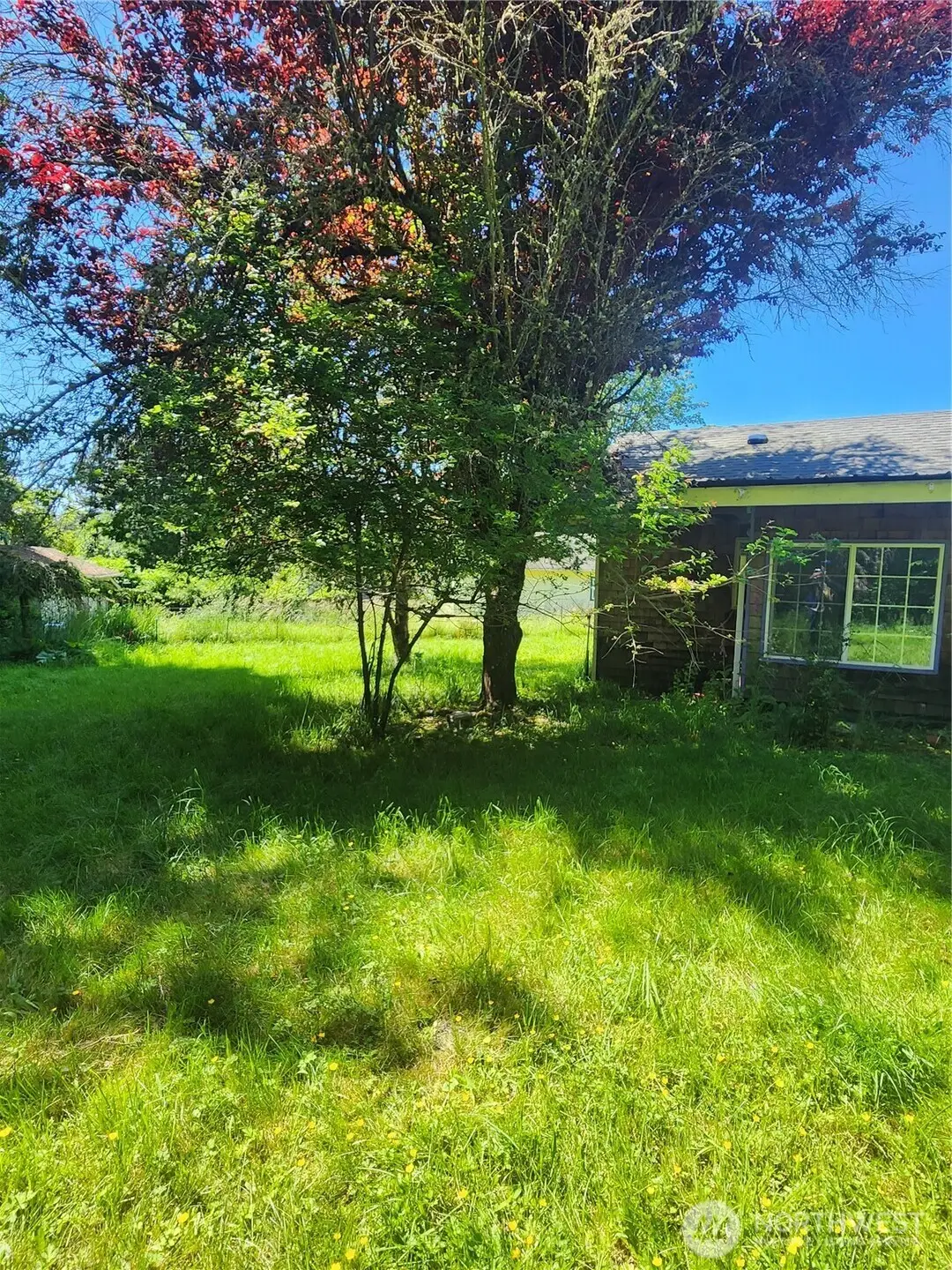3902 Idaho Street, Bellingham, WA 98229 - #1