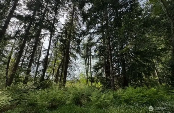 11106 Spruce Dr, Anderson Island, WA 98303