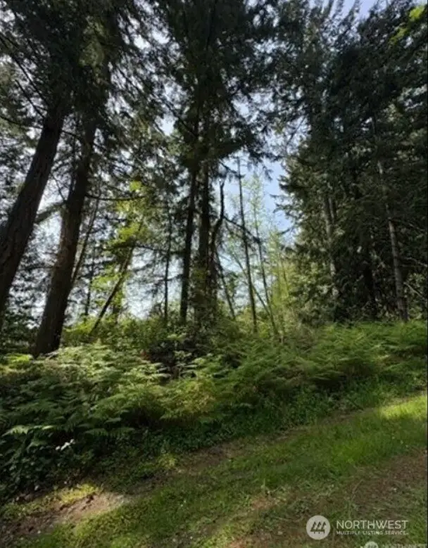 11106 Spruce Dr, Anderson Island, WA 98303 - #2