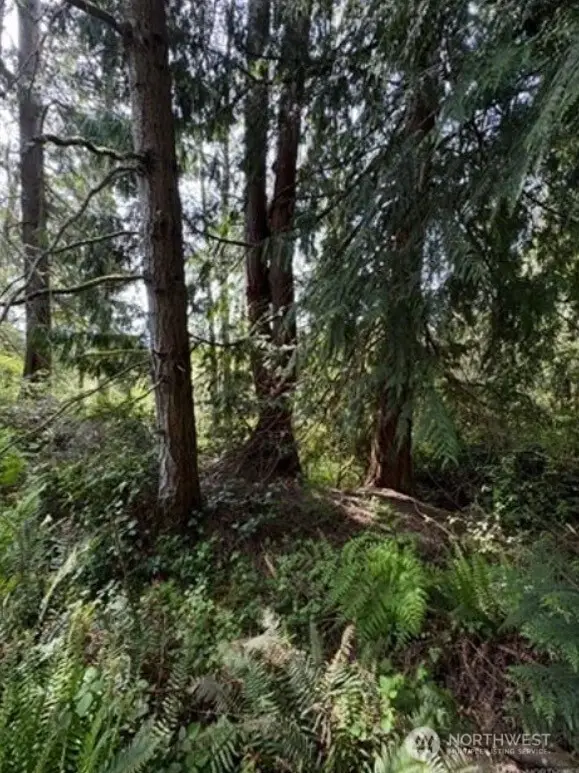 11106 Spruce Dr, Anderson Island, WA 98303 - #3