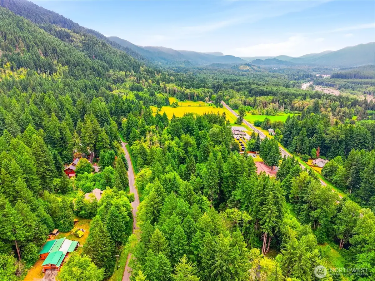 31418 Mount Tahoma Canyon Road E, Ashford, WA 98304 - #1
