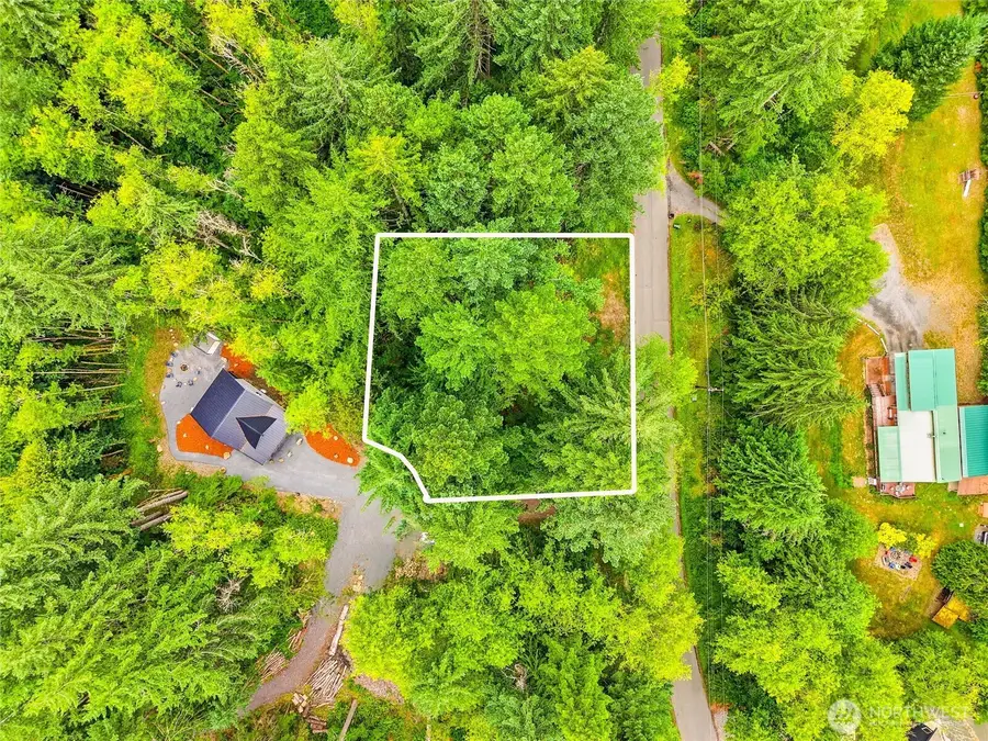 31418 Mount Tahoma Canyon Road E, Ashford, WA 98304 - #3