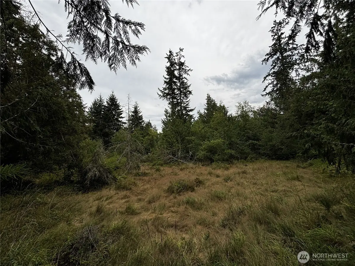 9999 S Bagley St, Port Angeles, WA 98362 - #1