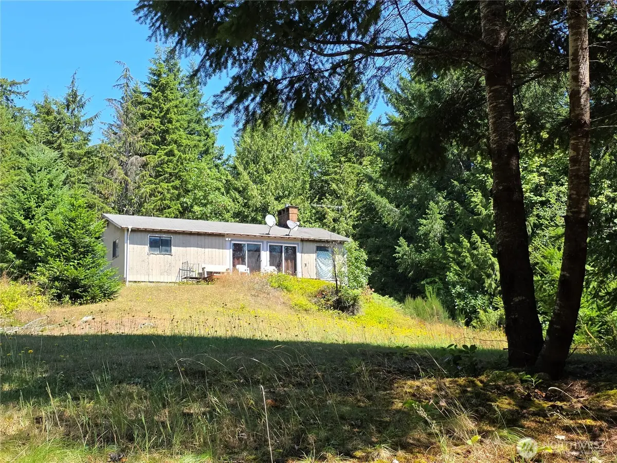 371 Green Mt Lane, Brinnon, WA 98320 - #1