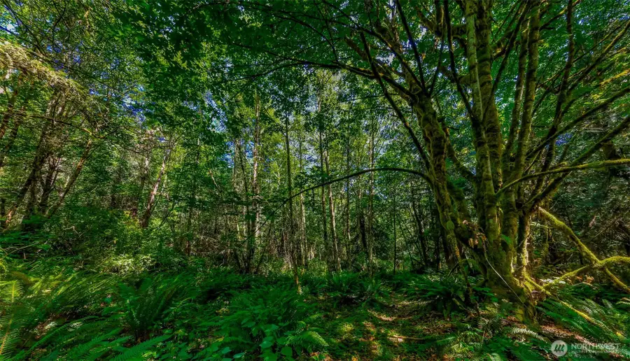 8679 NE Fox Den Lane, Bainbridge Island, WA 98110 - #3