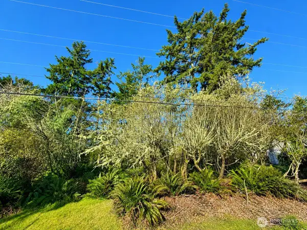375 Dolphin Avenue Ne #576, Ocean Shores, WA 98569