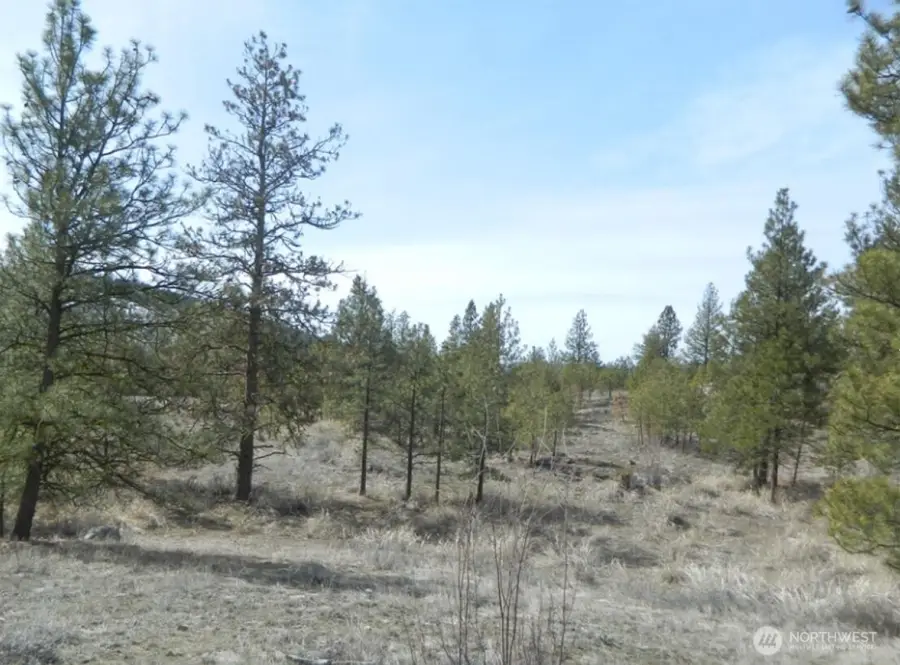 280 Reevas Basin Road, Tonasket, WA 98855 - #3