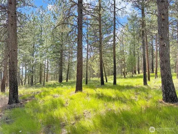 2 Tanner Short Plat #2, Riverside, WA 98849