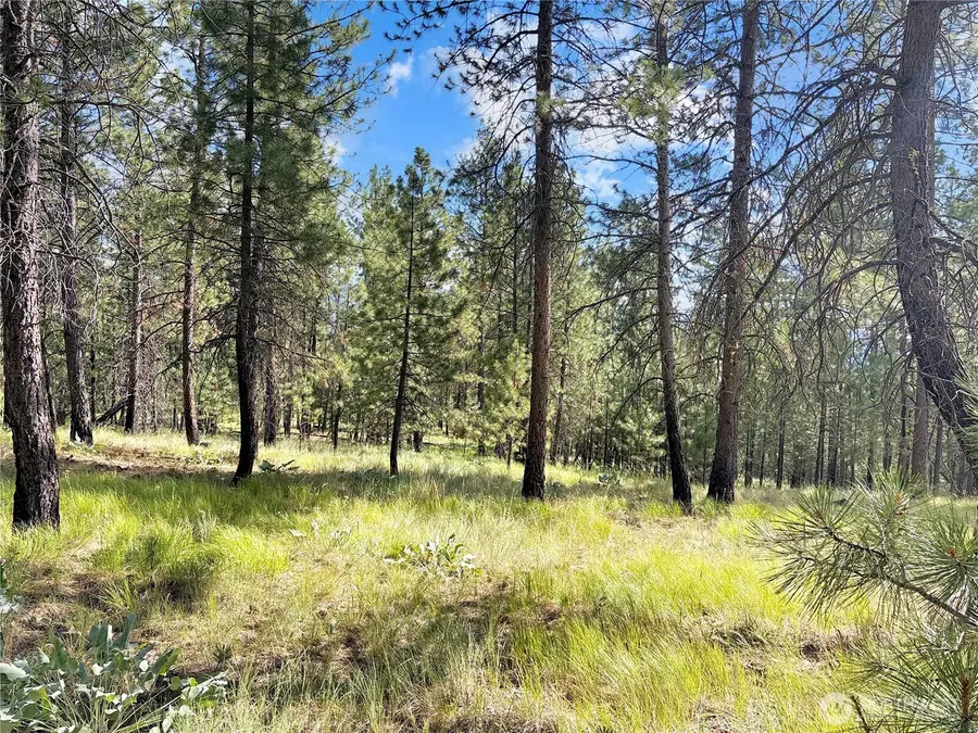 2 Tanner Short Plat #2, Riverside, WA 98849 - #2