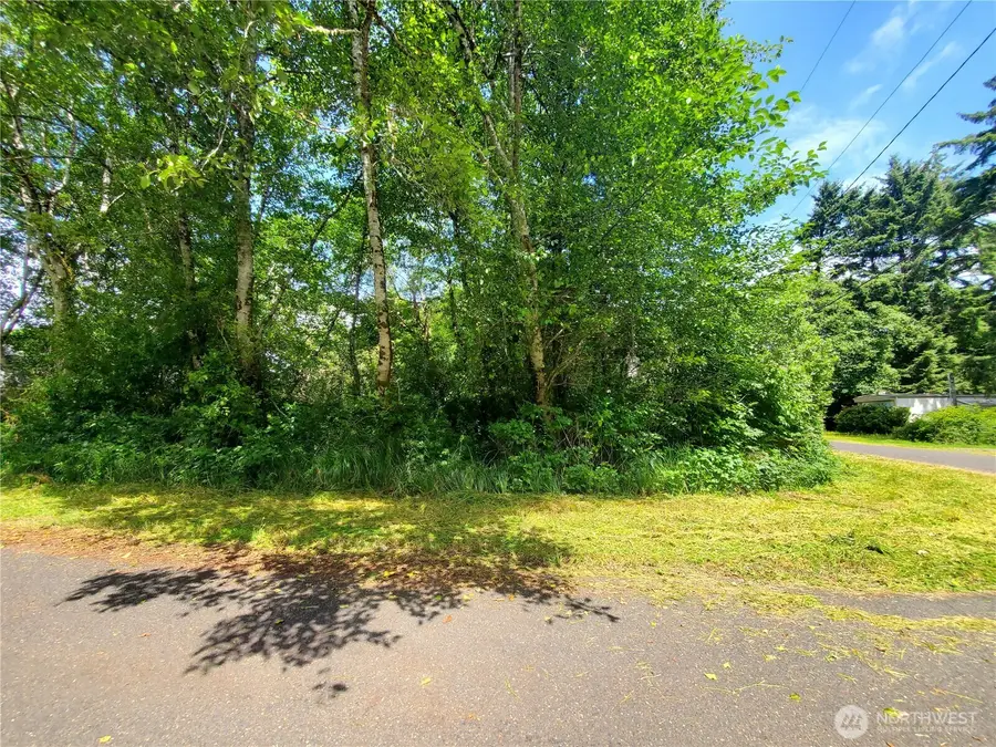 0 Woodland Lane, Copalis Beach, WA 98535 - #3