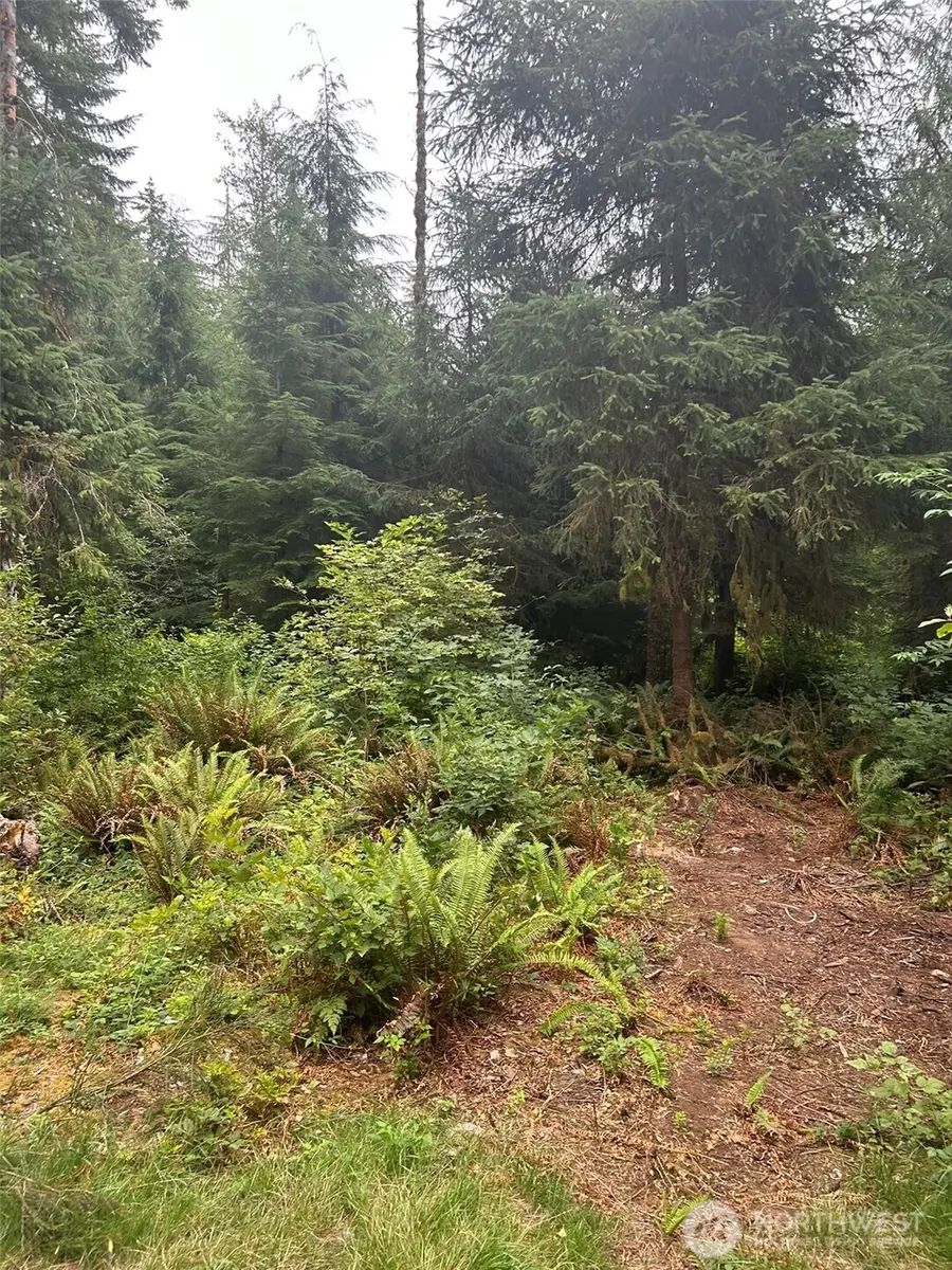 99 Highway 101, Amanda Park, WA 98526 - #2