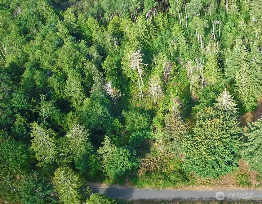 3912 183rd Avenue Ct Sw, Longbranch, WA 98351 - #1