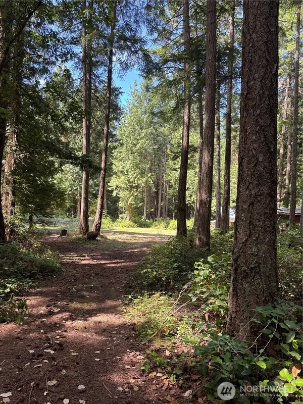 0 Mountain Road, Waldron Island, WA 98297