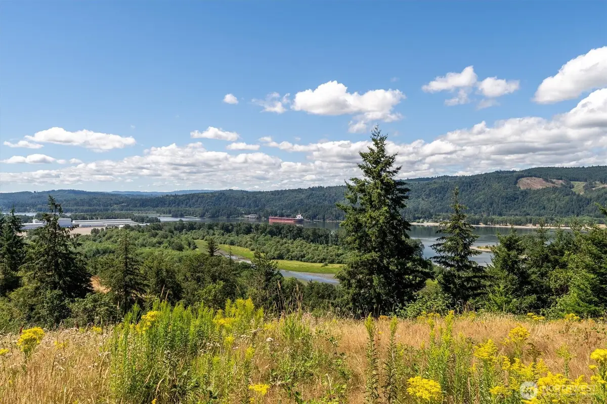 244 Risley Road, Kelso, WA 98626 - #1