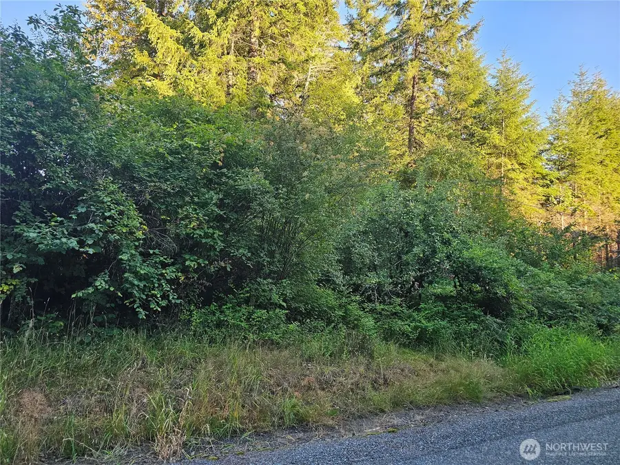 236 Porter Creek Road, Elma, WA 98541 - #3