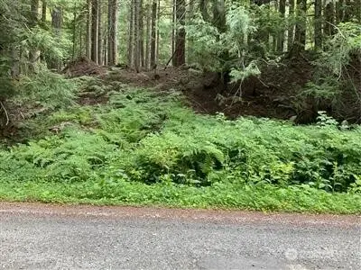 87426 NE Old Cascade Highway, Skykomish, WA 98288