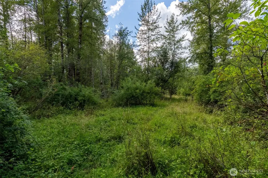 28901 State Route 706, Ashford, WA 98304 - #2