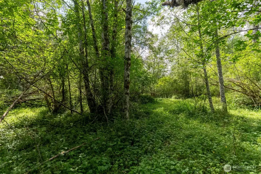 28901 State Route 706, Ashford, WA 98304 - #3